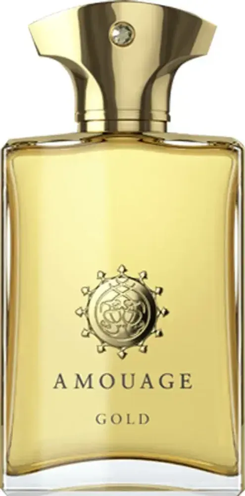 AMOUAGE GOLD MAN EDP 100 ML
