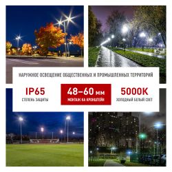 Светильник уличный светодиодный ЭРА SPP-5-100-5K-W 100Вт 5000К IP65 КСС Ш гарантия 5 лет | Уличные консольные светильники