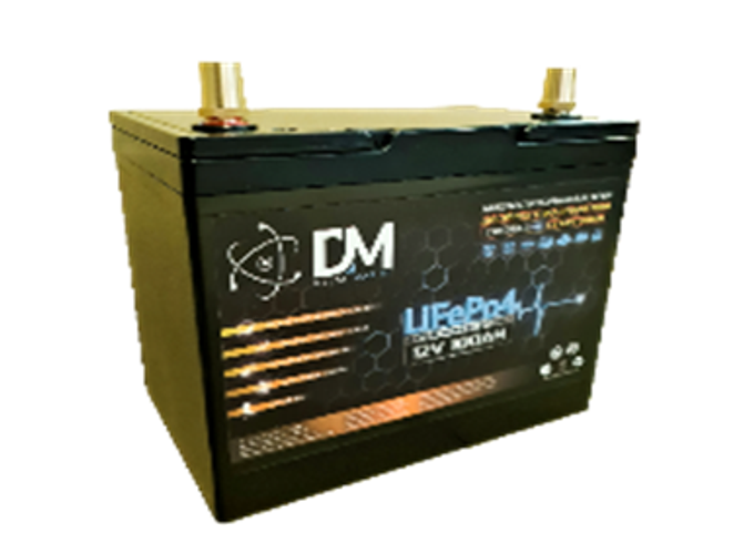 Аккумулятор Lifepo4 (1000cca) 12v100ah Аккумулятор DM Стартово-тяговый