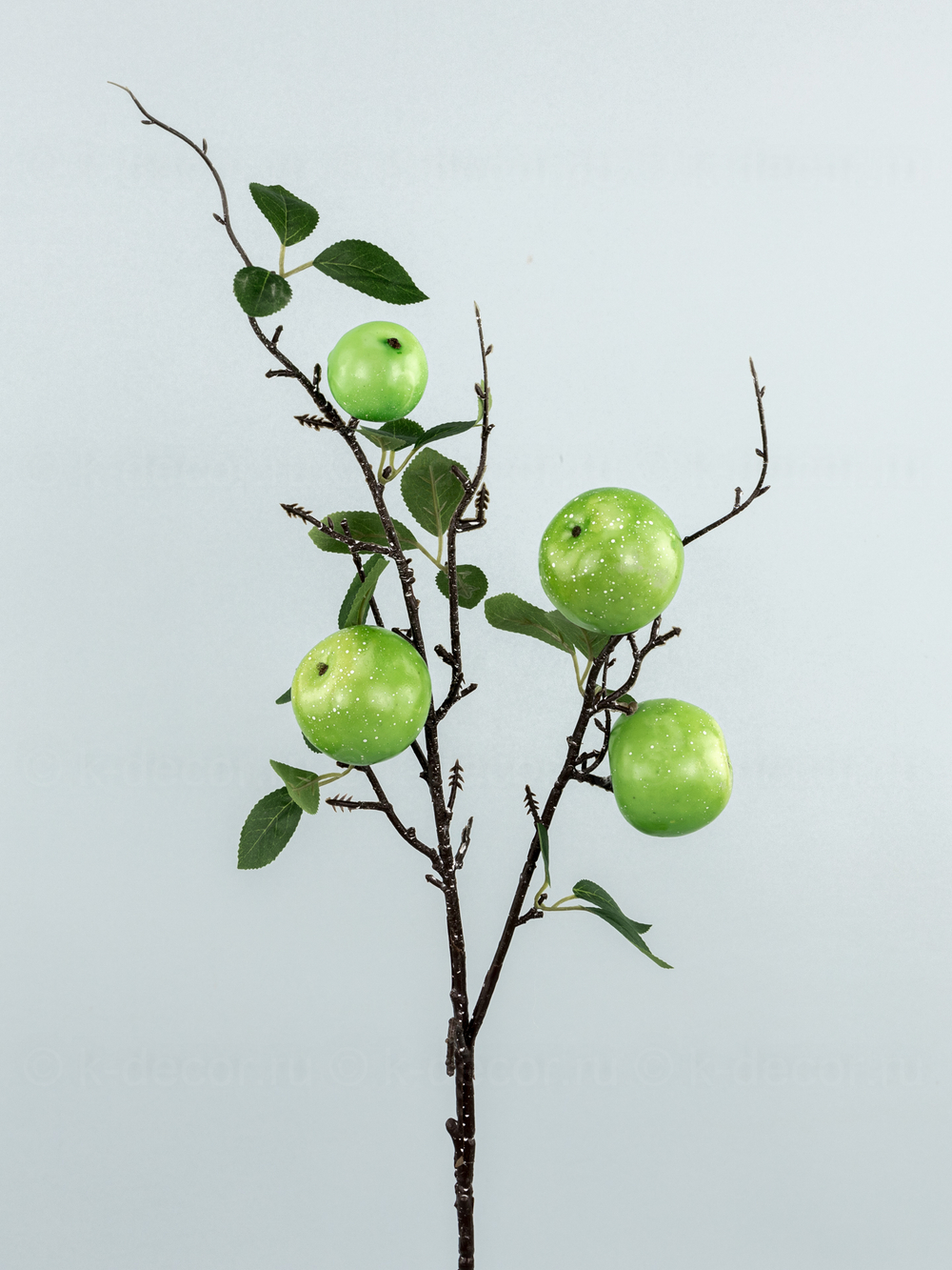 Ветка с яблоками