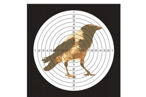 Мишень цветная картонная, рисунок ворона (50 шт./уп.) (140х140)