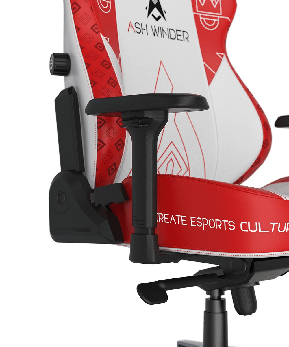 Кресло игровое DXRacer Craft CRA/DXL5000/ ASHWINDER.WR