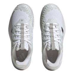 Женские теннисные кроссовки adidas SoleMatch Control All Court Shoe Women - White, Silver