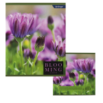 Тетрадь 48л., А5, клетка, Alingar "Blooming", скрепка, мелованный картон (стандарт), блок офсет, 4 дизайна в пленке т/у