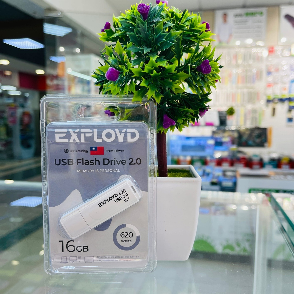 USB Флешка 16GB Exployd 620, USB 2.0, белая