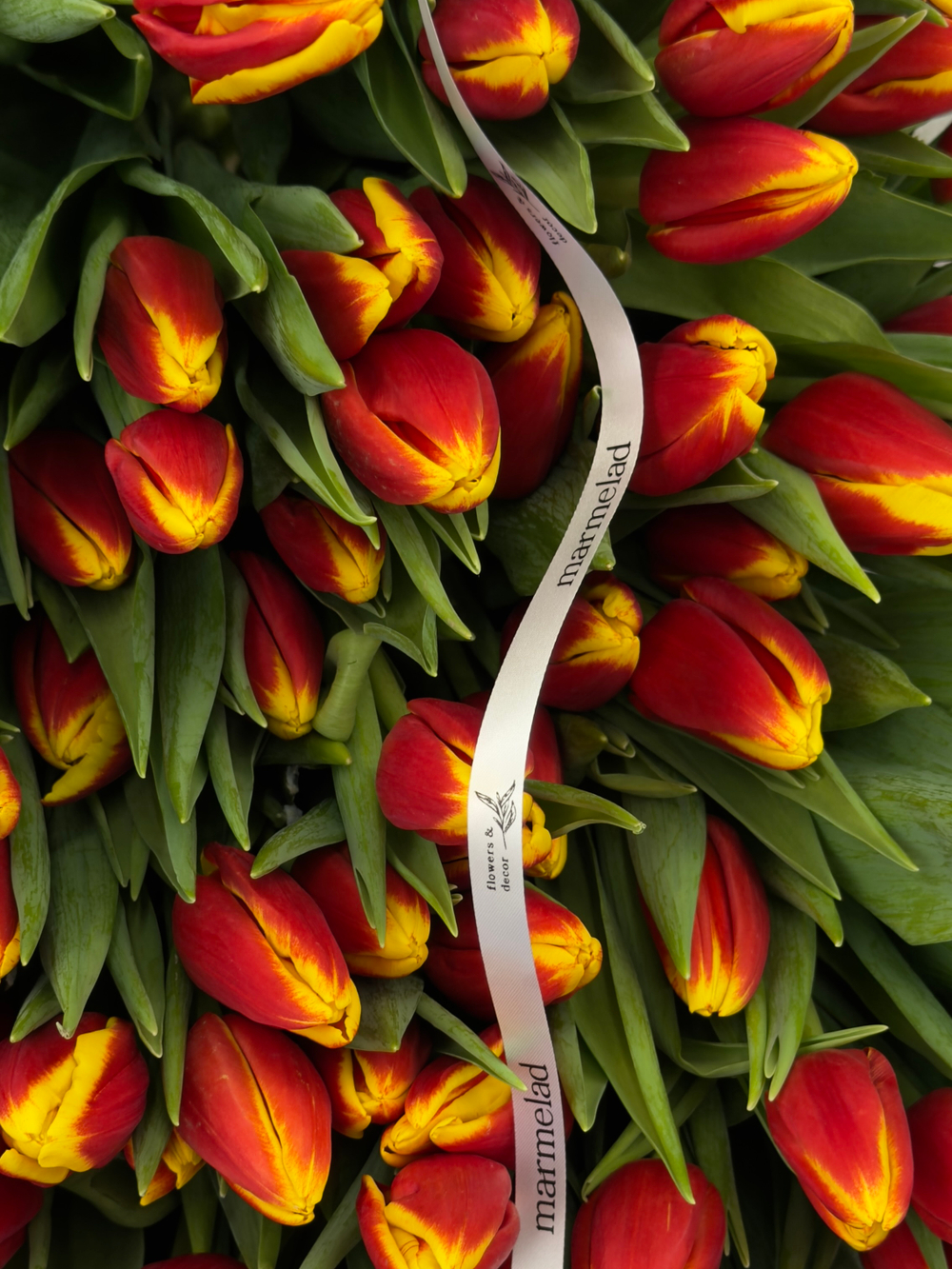 Тюльпаны классика - красно-желтый цвет