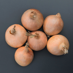 Орланда F1 семена лука репчатого (Bejo / Бейо)