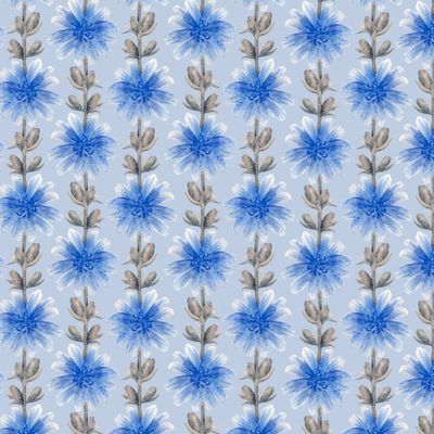 Акварельные цветы цикория на голубом фоне