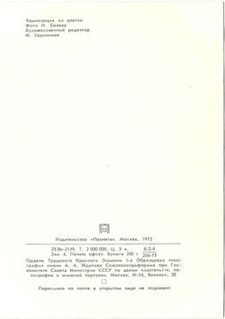 Открытка (почтовое вложение) "Композиция из цветов" фото И. Бонева