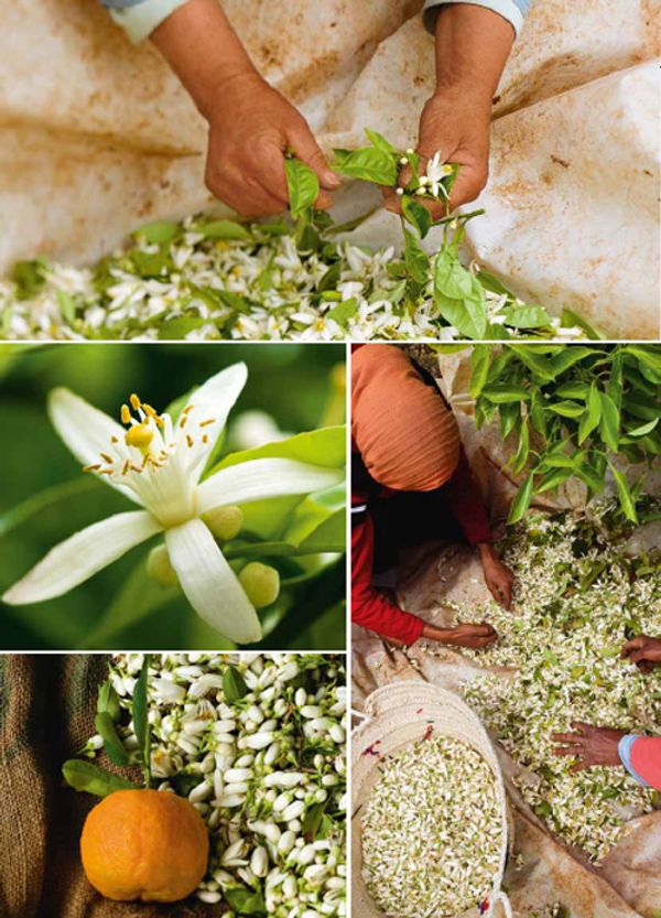 Yves Rocher Secret d'Essences Neroli