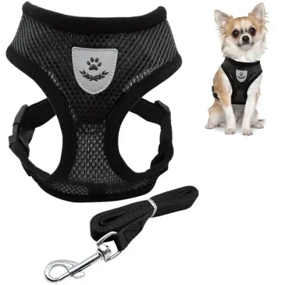 Шлейка с поводком 118см «Sweet puppy» размер S, цвет черный✦