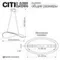 CL213131 SKATT Черный Св-к Подвес