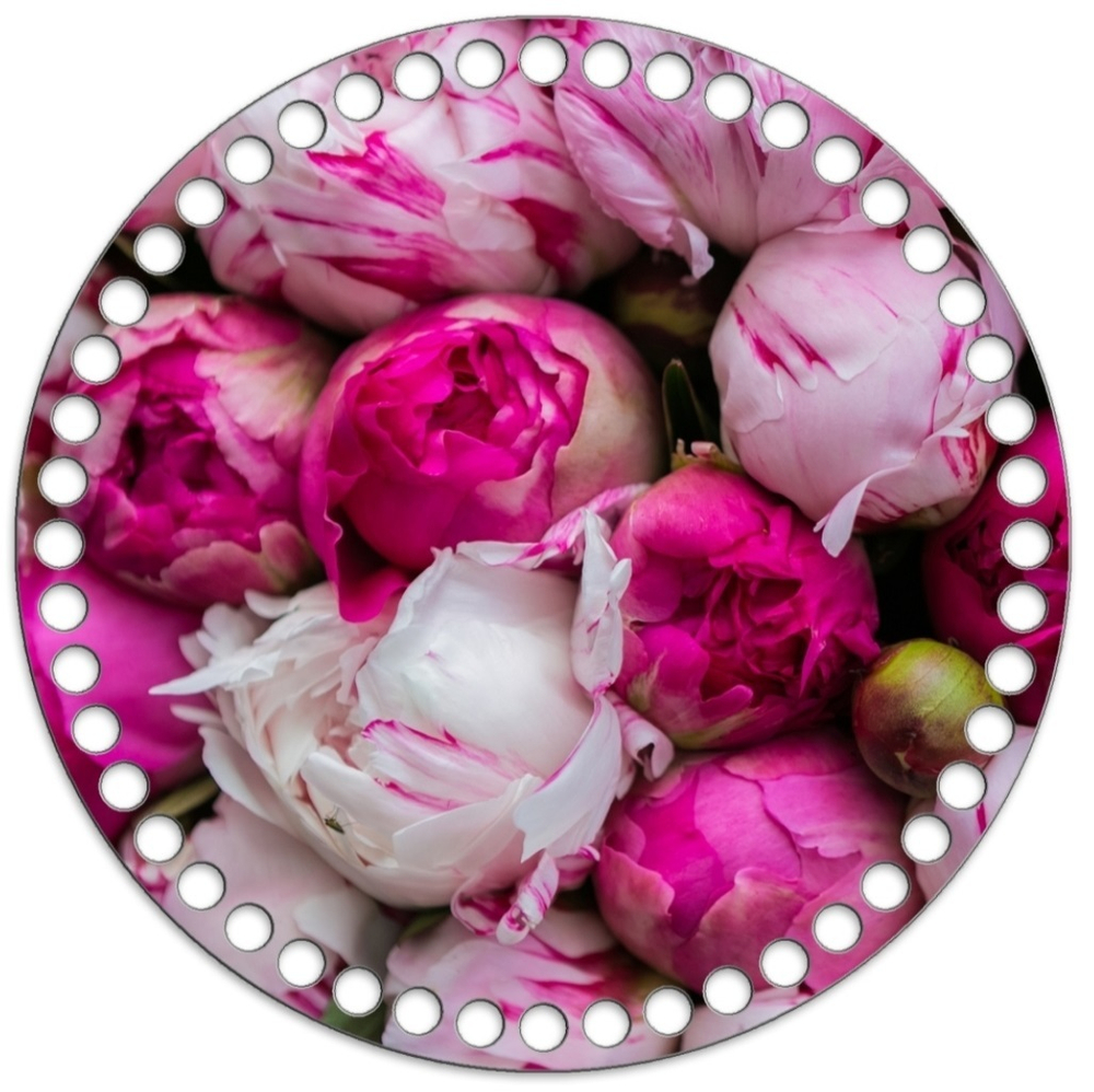 Донышко Принт 20см