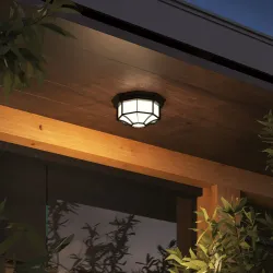 Уличный потолочный светильник Arte Lamp