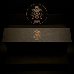 Бедренная кость (анатомическая модель) в подарочной коробке