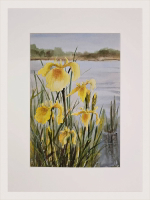 Картина авторская акварельная в паспарту 30х40 см на стену для интерьера "Прибрежные ирисы"