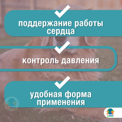 Зоокард Средство для лечения заболеваний сердца у кошек, Суспензия 25 мл, Пчелодар. Рамиприл.