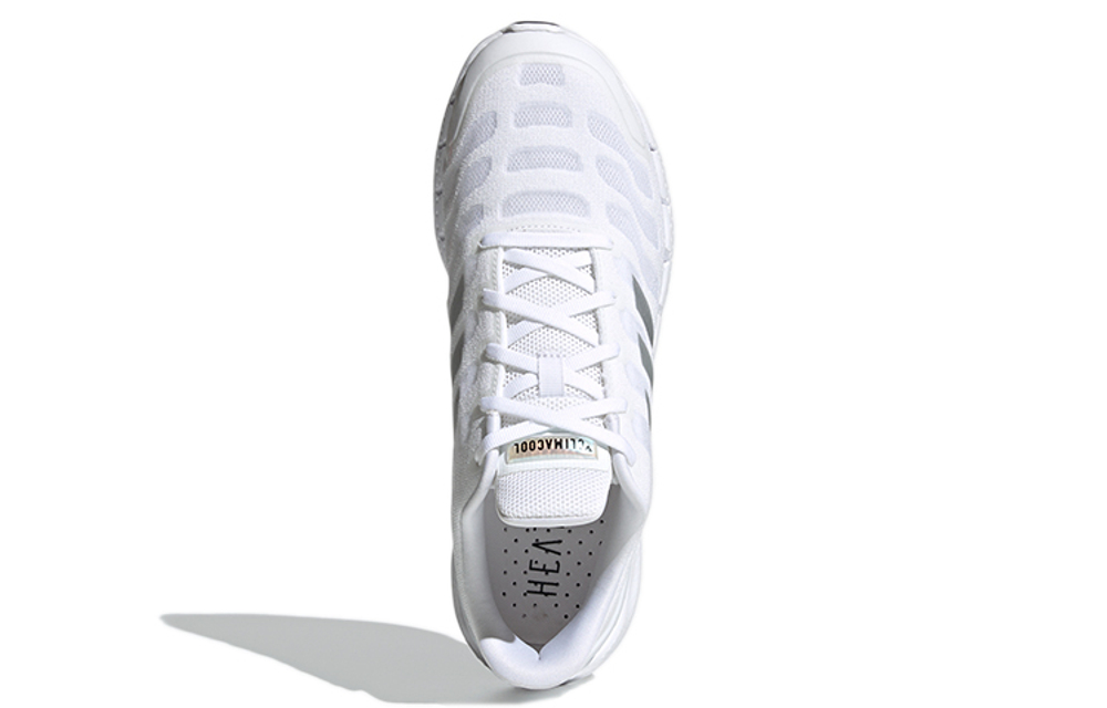 Кроссовки Adidas Climacool Ventania