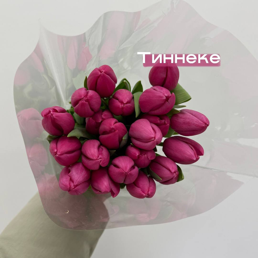 Тюльпаны ярко розовые Тиннеке 1шт поштучно