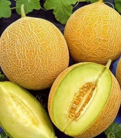 Медовый спас семена дыни (ПОИСК)