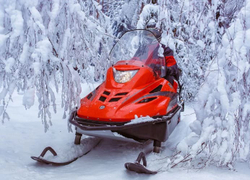 Снегоход РУССКАЯ МЕХАНИКА Тайга Варяг 550V