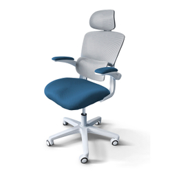 Детское кресло Ergokids Teen (T - 1)