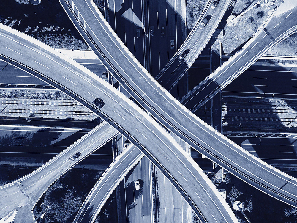 Дизайнерские обои Wall Street Bird see