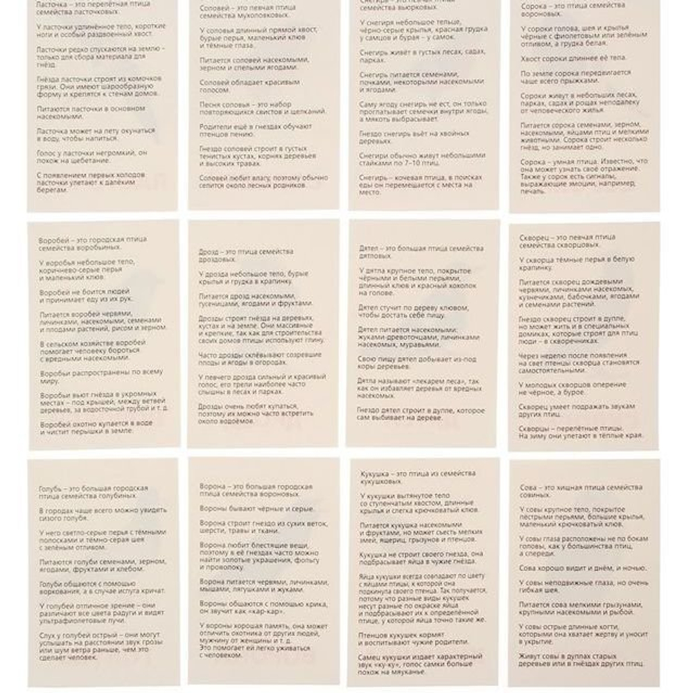 Обучающие карточки по методике Г. Домана "Птицы России" 1716782