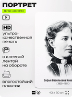 Портрет для школы в кабинет математики "Софья Васильевна Ковалевская", стенд школьный для класса, деятели науки для оформления классного уголка, 40х30 см, Silver Plane x Айдентика Технолоджи