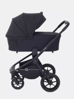 Коляска 2 в 1 Rant Flex 2025 RA076