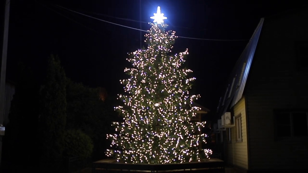 Светодинамическая елка ствольная со скамейкой, встроенная гирлянда: Холодный свет - "Лесная" (Литая хвоя) 6 м