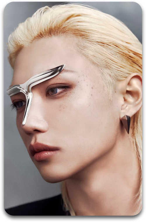 Карта / STRAY KIDS #4637