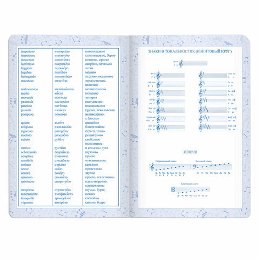 Дневник для музыкальной школы 48 л., обложка кожзам твердая, тиснение фольга, BRAUBERG, фиолетовый, 105499