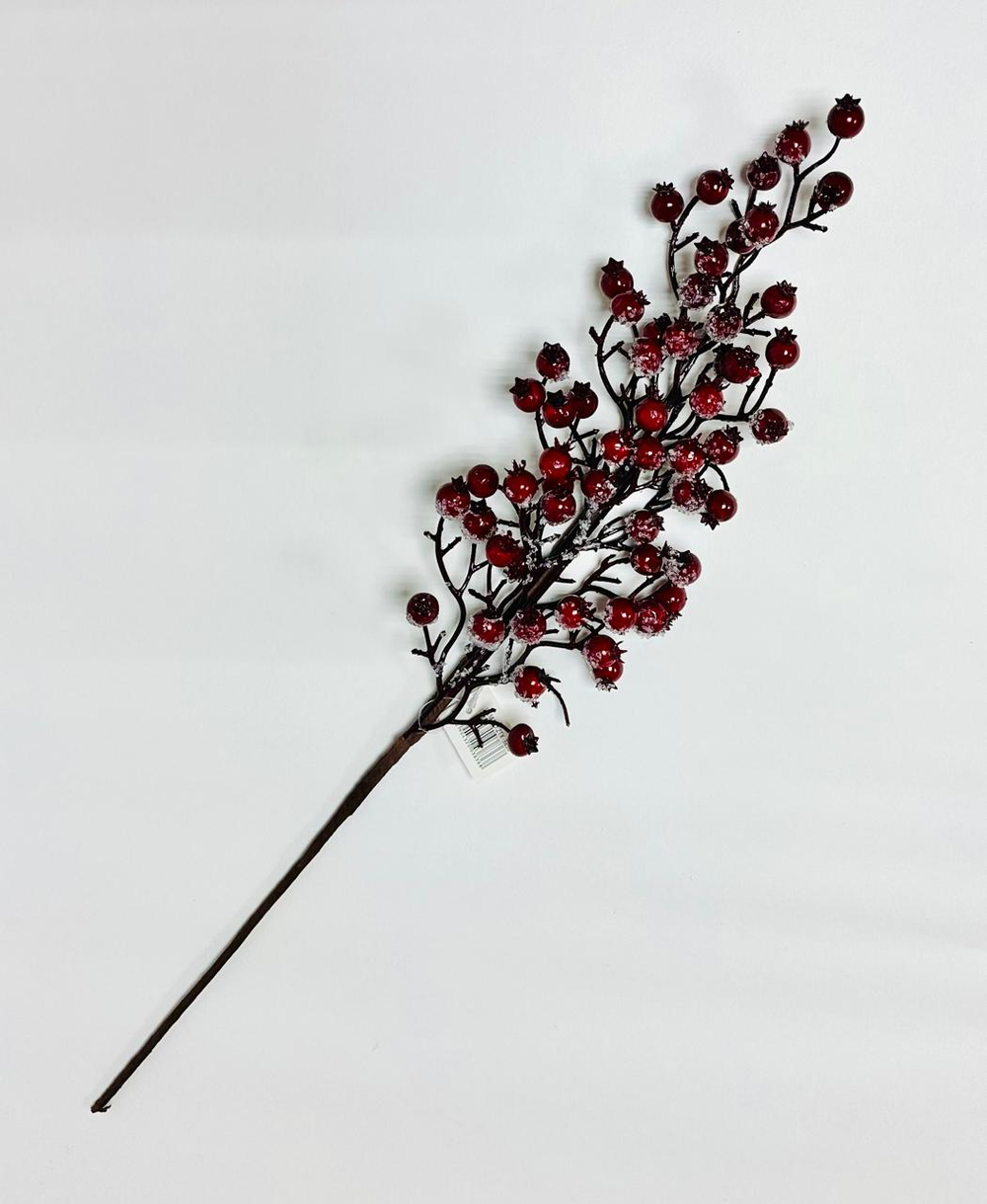 Ветка ягода во льду