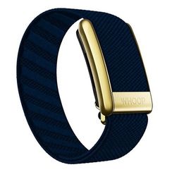 Плетеный ремешок для Whoop 4.0 SuperKnit Luxe Band​ (Niagara with Gold)