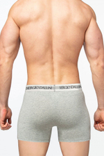 Трусы-боксеры из плотного хлопкового полотна (Размер: L) (Цвет: черный)