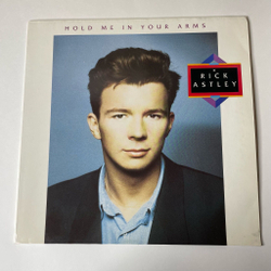 Винтажная виниловая пластинка LP Rick Astley Hold Me In Your Arms (Germany 1988)