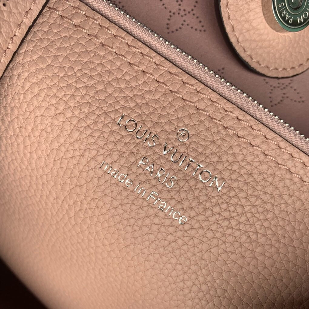 Louis Vuitton Carmel Hobo Bag