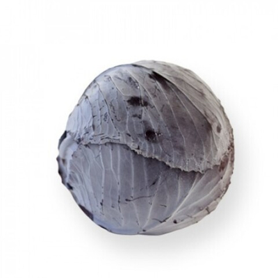 Ресима F1 семена капусты краснокочанной (Rijk Zwaan / Райк Цваан)