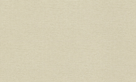 Rasch 1.06m*10m 970630 Jolly