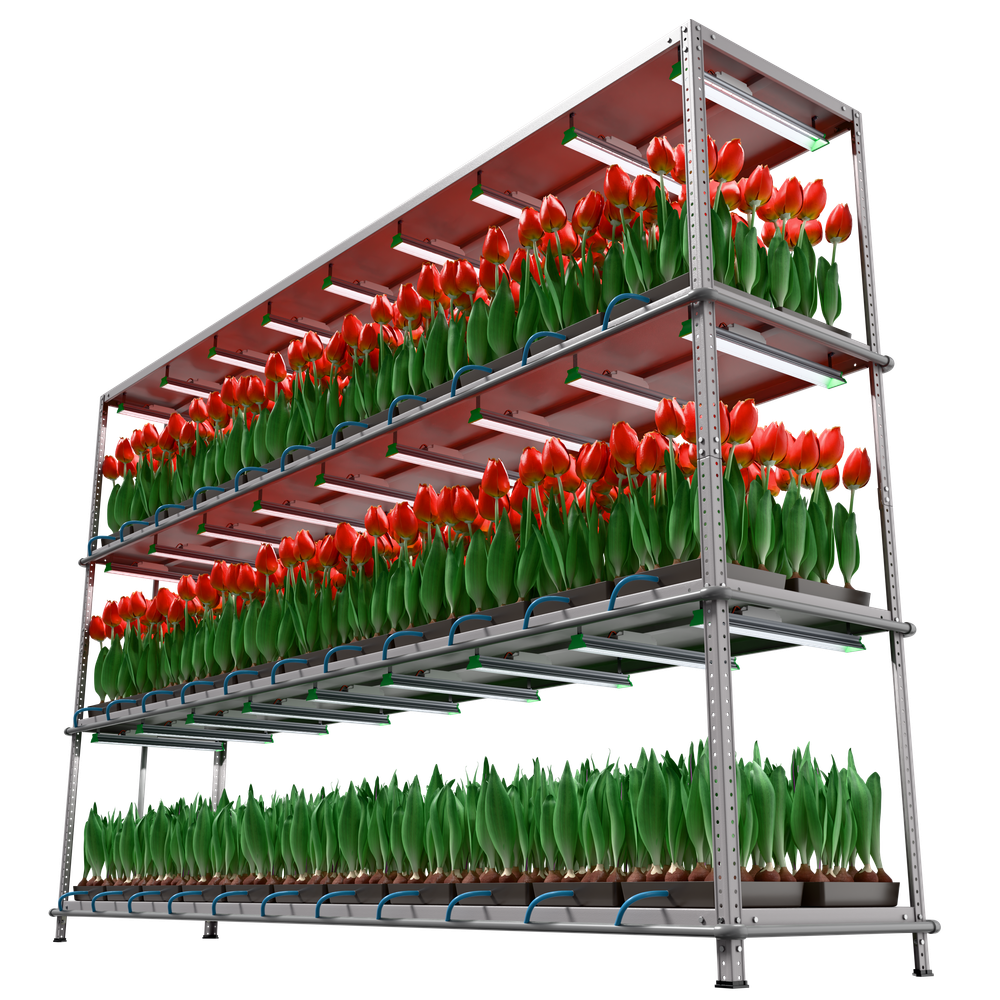 Светильник АгроСвет SEED (стеллажный) 50вт 100мкмоль FS-S-АGRО-50-20-XY-1000