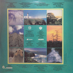 Николай Шершень / Романсы Губернатора (LP)