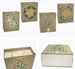 GAEM Пакет подарочный (бумага 210г/м2, блок 12шт), L30 W12 H40 см, 4в.