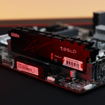 Память TESLA HS DDR4 DIMM 16Гб, 3200МГц, CL22, Retail, 1.2В, с радиатором (TSD43200C22-16GHS)