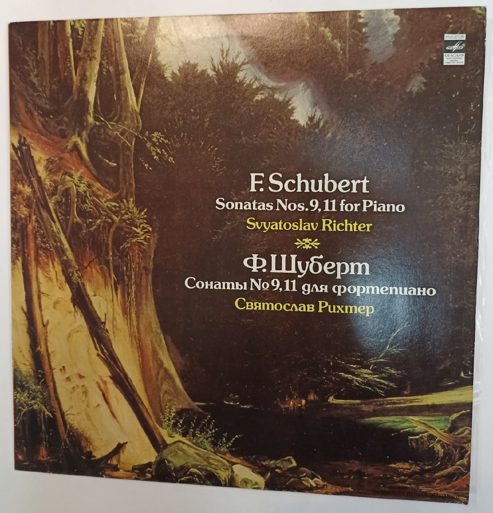 Franz Schubert Sonatas No 9 And 11 For Piano Франц Шуберт