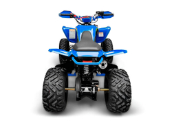 Квадроцикл RACER Typhoon 250