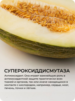 Розмариновая кислота 60 капсул / Натуральный дегликант и антиоксидант