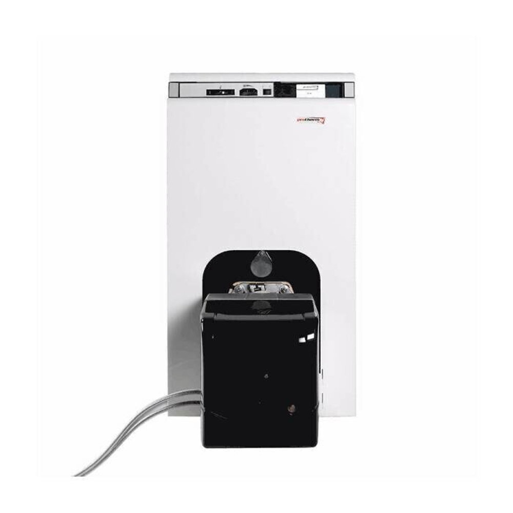 Котел напольный газ/дизель 27.1 кВт Бизон 30NL Protherm 10003940