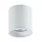 ST165.532.12 Светильник потолочный Белый LED 1*12W 3000K 840Lm Ra>90 36° IP44 D80xH85 85-265V Накладные светильники