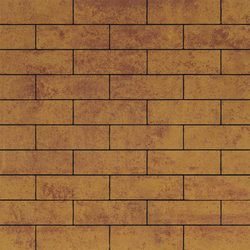 Тротуарная плитка ПРЯМОУГОЛЬНИК 300х100 мм - Листопад гладкий Каир